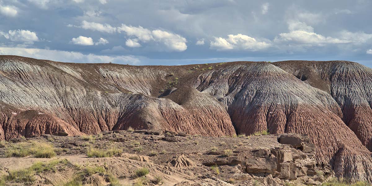 petrified-forest-national-park-in-arizona-usa-2022-11-15-05-06-01-utc.jpg